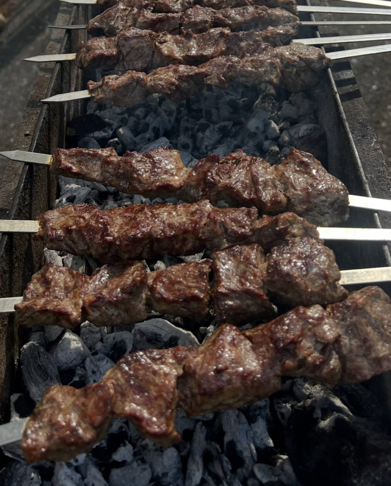 Grilled Kebabs Uzbekistan Restaurant in Northeast Philadelphia